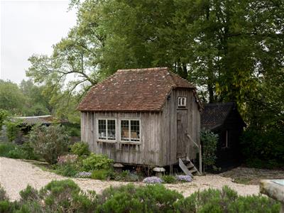 Picture 25